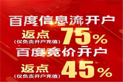 百度竞价广告的创意与执行：成功案例剖析