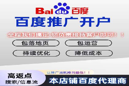 Sem优化公司实例：电商流量提升策略